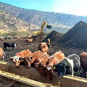 Efectos al pasar el cursor sobre la imagen