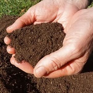 Efectos al pasar el cursor sobre la imagen